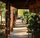The Vineyard Motel - New Castle Holiday