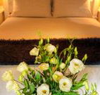 Winton Luxury Bed and Breakfast - New Castle Holiday