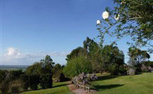 Yellow Dog Cottage - - New Castle Holiday 3