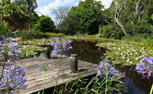 Yellow Dog Cottage - - New Castle Holiday 4