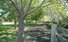 Yellow Dog Cottage - - New Castle Holiday 6