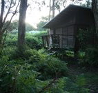 Mount Seaview Resort - New Castle Holiday