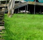 Snowy Valley Resort - New Castle Holiday