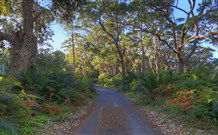 BiJs On The Beach - New Castle Holiday 3