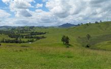 Denham Cottage - New Castle Holiday 4