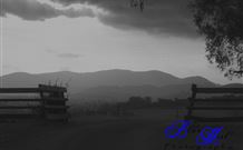 Denham Cottage - New Castle Holiday 3