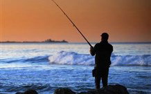 Emma's Cottage Vineyard - New Castle Holiday 1