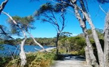 Emma's Cottage Vineyard - New Castle Holiday 5