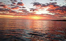 Emma's Cottage Vineyard - New Castle Holiday 4