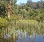 Fosterton Lodge Retreat - New Castle Holiday