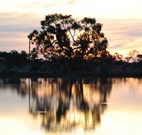 Myuna Bay Sport and Recreation Centre - New Castle Holiday