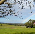 Pebble Bay Cottage - New Castle Holiday