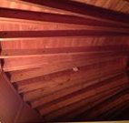 Sea Cottage - New Castle Holiday