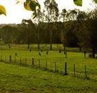 Stone Cottage Mittagong - New Castle Holiday