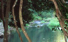 The Dell Blackheath - New Castle Holiday 1