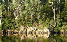The Woods At Pokolbin - New Castle Holiday 5