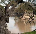 Valley View Cottage Hunter Valley - New Castle Holiday