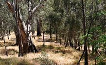 Wagon Wheel Motel And Units - New Castle Holiday 6