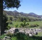 Woolshed Hill Estate - New Castle Holiday