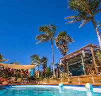 Port Macquarie YHA - Ozzie Pozzie Backpackers - New Castle Holiday