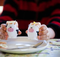 Cosy Cow Farmstay Bed and Breakfast - New Castle Holiday