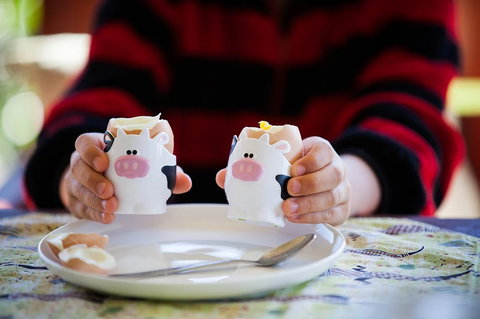 Cosy Cow Farmstay Bed And Breakfast - New Castle Holiday 0