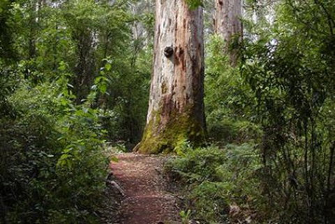 Pemberton YHA - New Castle Holiday 2