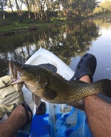 Dumaresq Homestead - New Castle Holiday 0