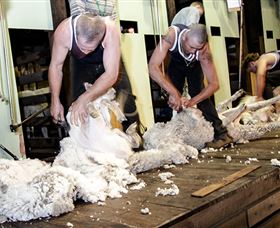 Jondaryan QLD New Castle Holiday