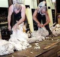 The Woolshed at Jondaryan Caravan and Camping - New Castle Holiday