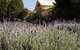 Vacy Hall Toowoomba's Grand Boutique Hotel Since 1873 - thumb 1