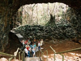 Undara Experience - New Castle Holiday 2