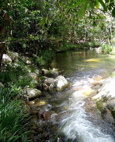 Sweetwater Lodge - New Castle Holiday 3