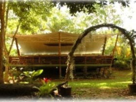 Cedar Park Rainforest Resort - New Castle Holiday 2