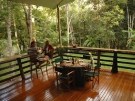 Cedar Park Rainforest Resort - New Castle Holiday 3