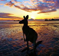 Cape Hillsborough Nature Tourist Park - New Castle Holiday