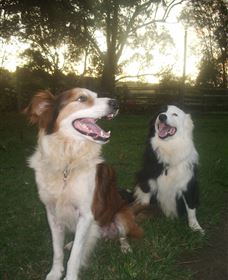 Brockhurst Farm Accommodation / Wedding Venue - New Castle Holiday 1