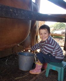 Brockhurst Farm Accommodation / Wedding Venue - New Castle Holiday 2