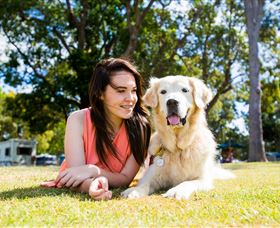 Jacobs Well Tourist Park - New Castle Holiday 0