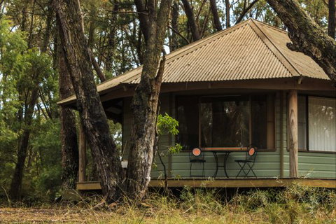 Federation Gardens And Possums Hideaway - New Castle Holiday 7