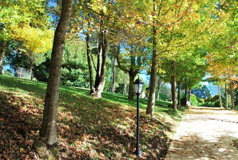 Huntington Cottage - New Castle Holiday 7