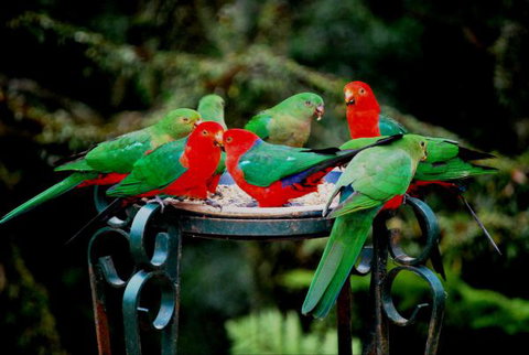 Huntington Cottage - New Castle Holiday 8