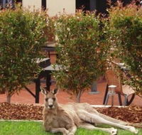 Alpha Canberra Hotel and Apartments - New Castle Holiday