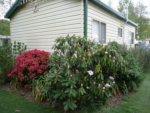 Jenolan Caravan Park - New Castle Holiday 0