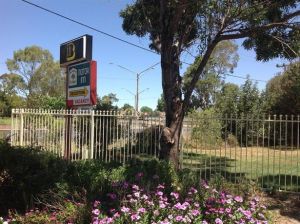 Forest Lodge Motor Inn And Restaurant - New Castle Holiday 0