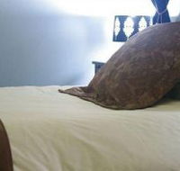 Mount Victoria Manor - New Castle Holiday