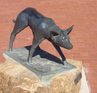 The Ardlethan Kelpie Caravan Park - New Castle Holiday