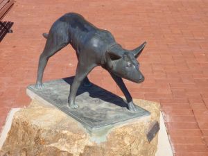 The Ardlethan Kelpie Caravan Park - New Castle Holiday 0