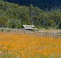 Pender Lea Alpine Guest Accommodation - New Castle Holiday