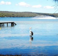Dungowan Waterfront  Accommodation - New Castle Holiday